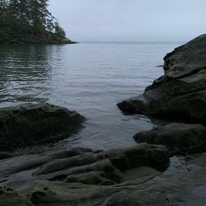 Meet your Posher, Ana